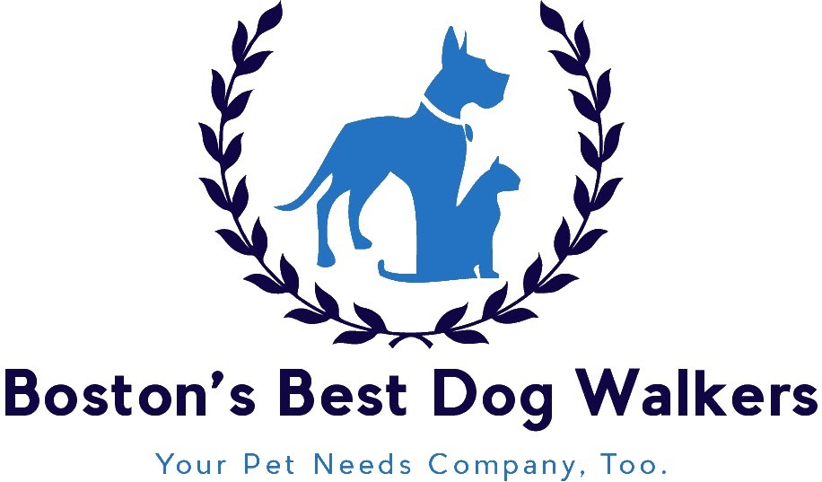 Boston's Best Dog Walkers and Pet Services